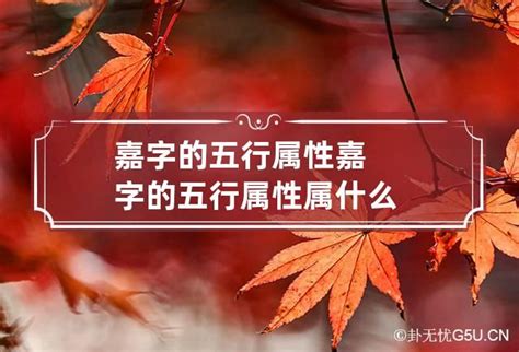 嘉五行属什么|嘉的五行